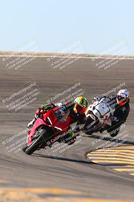 media/Jan-13-2024-SoCal Trackdays (Sat) [[9c032fe5aa]]/Bowl Exit Set 2 (1135am)/